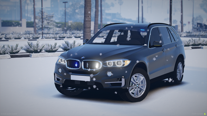 Surrey Sussex BMW X5 F15 Pack