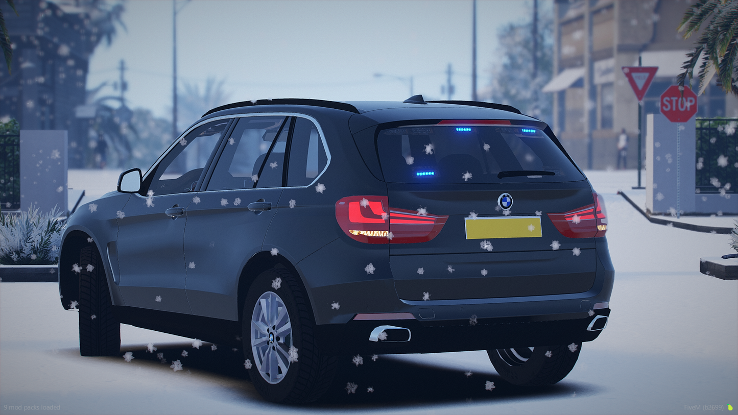 Surrey Sussex BMW X5 F15 Pack
