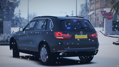Surrey Sussex BMW X5 F15 Pack