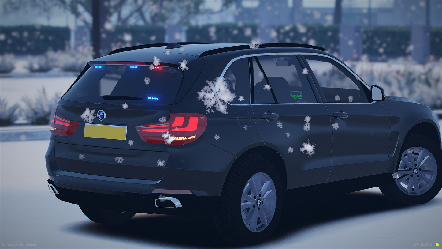 Surrey Sussex BMW X5 F15 Pack