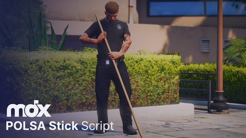 POLSA Stick Script