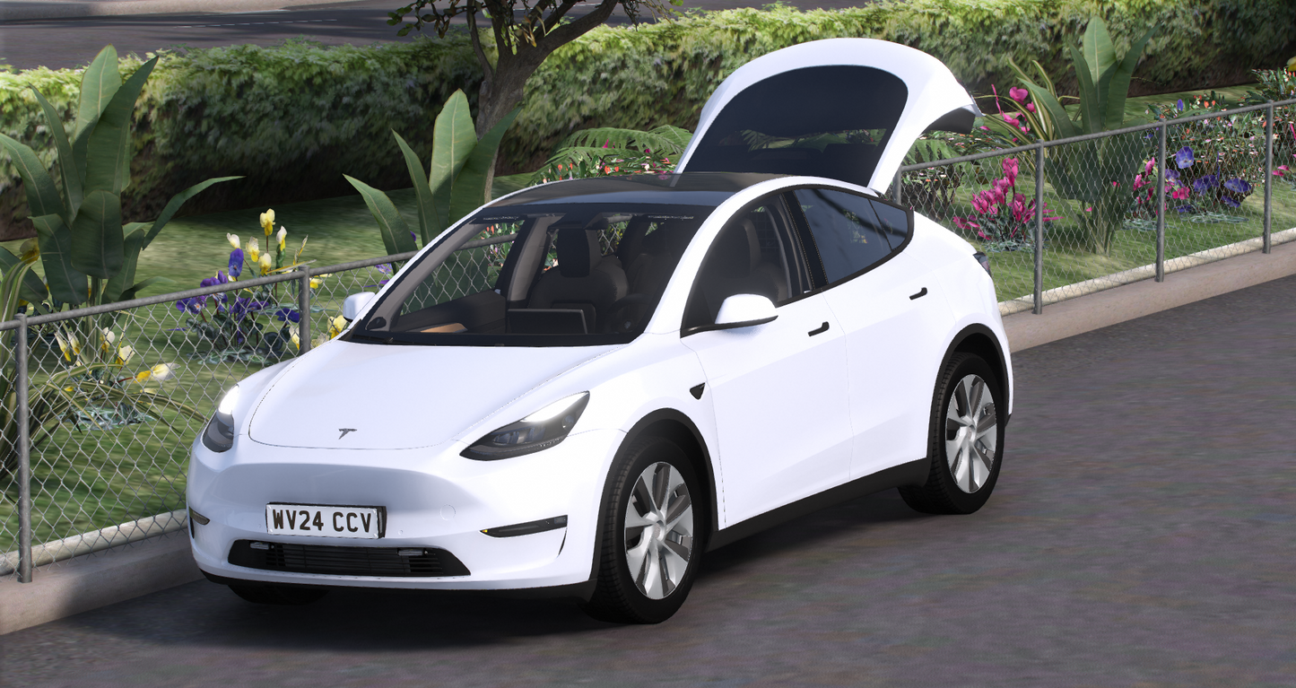 Unmarked Traffic Tesla Model Y 2024
