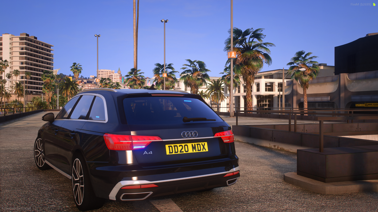 Generic Audi A4 Avant Firearms