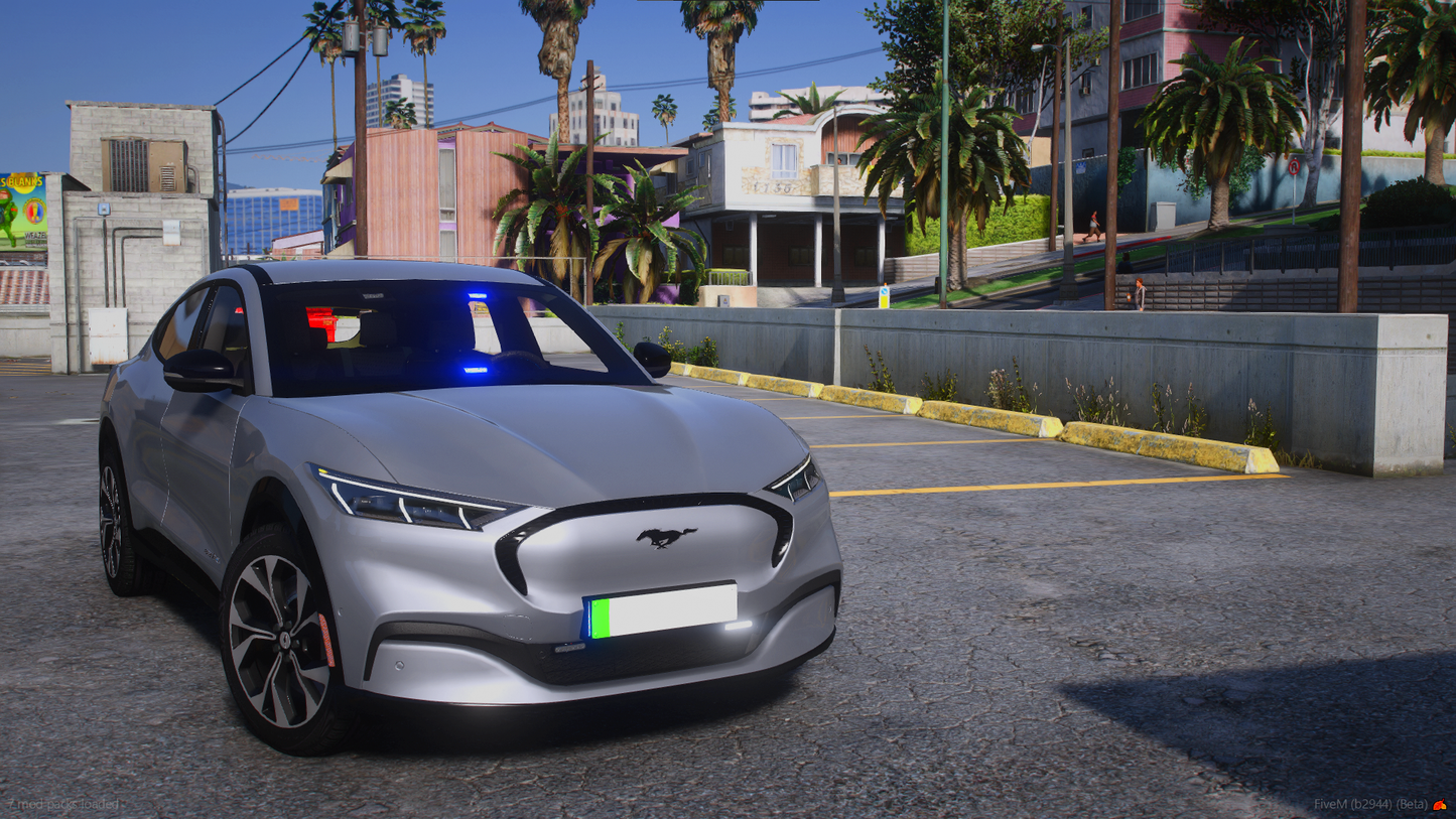 Fictional Ford Mach-E Pack